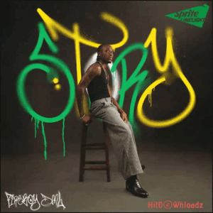 Fireboy DML
