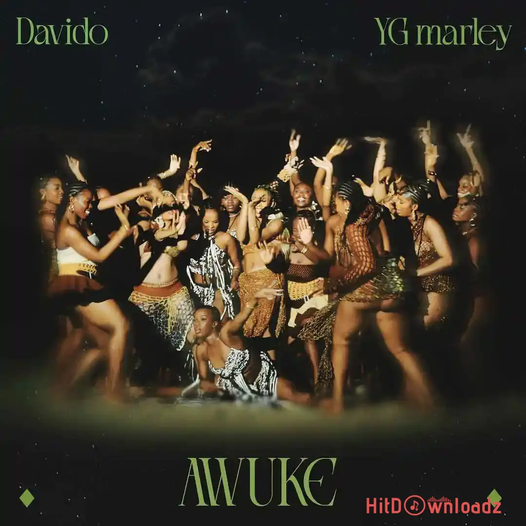 Awuke Cover Art