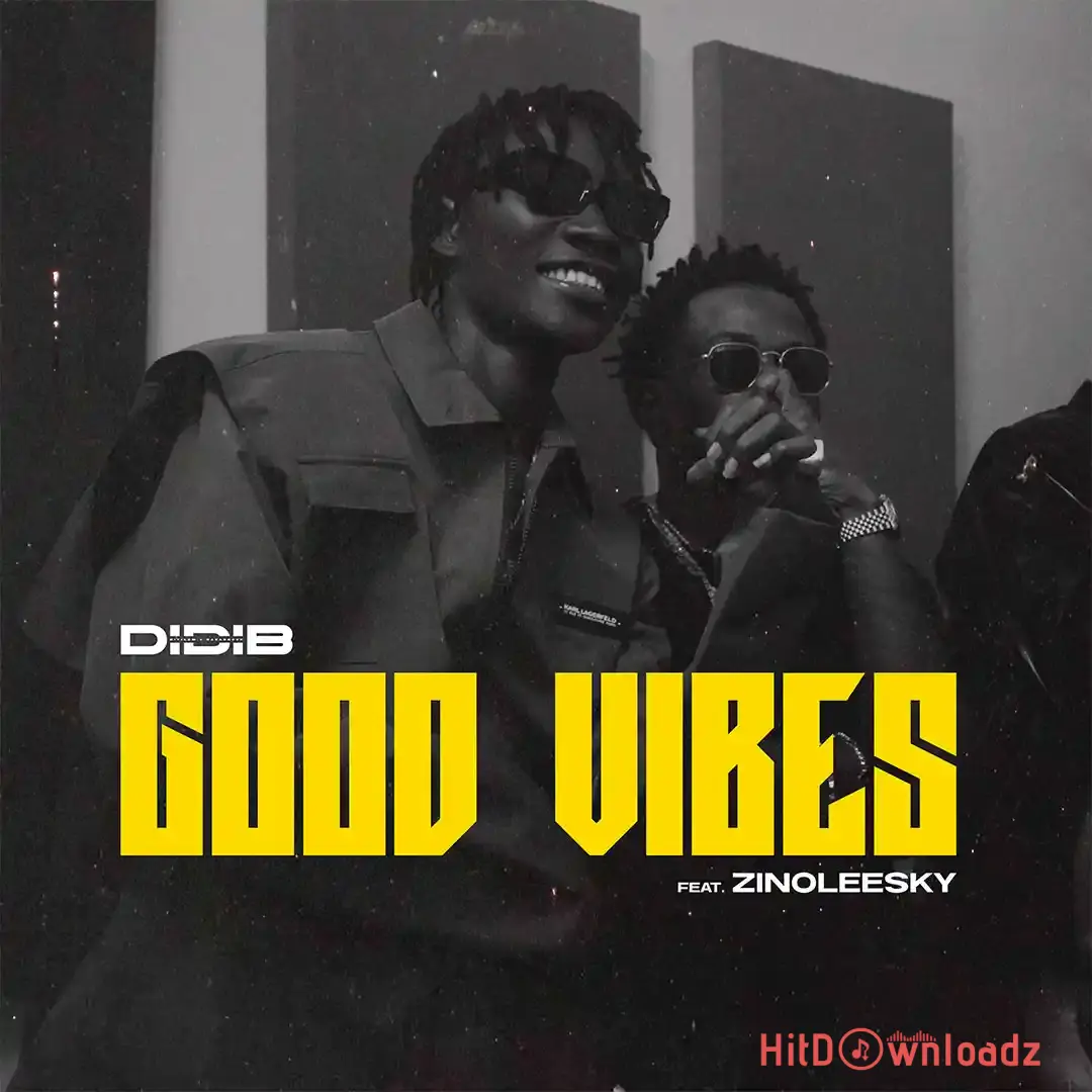 Didi B – Good Vibes ft. Zinoleesky Cover Art