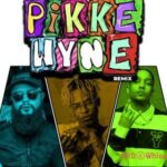 Pikkewyne (Remix)