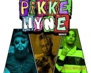 Mega x Chakie – Pikkewyne (Remix) ft. Meneer Cee, Jay Music, Naiidy MP3 Download