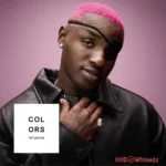 Toro – A COLORS SHOW