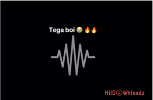 Tega Boi Dc