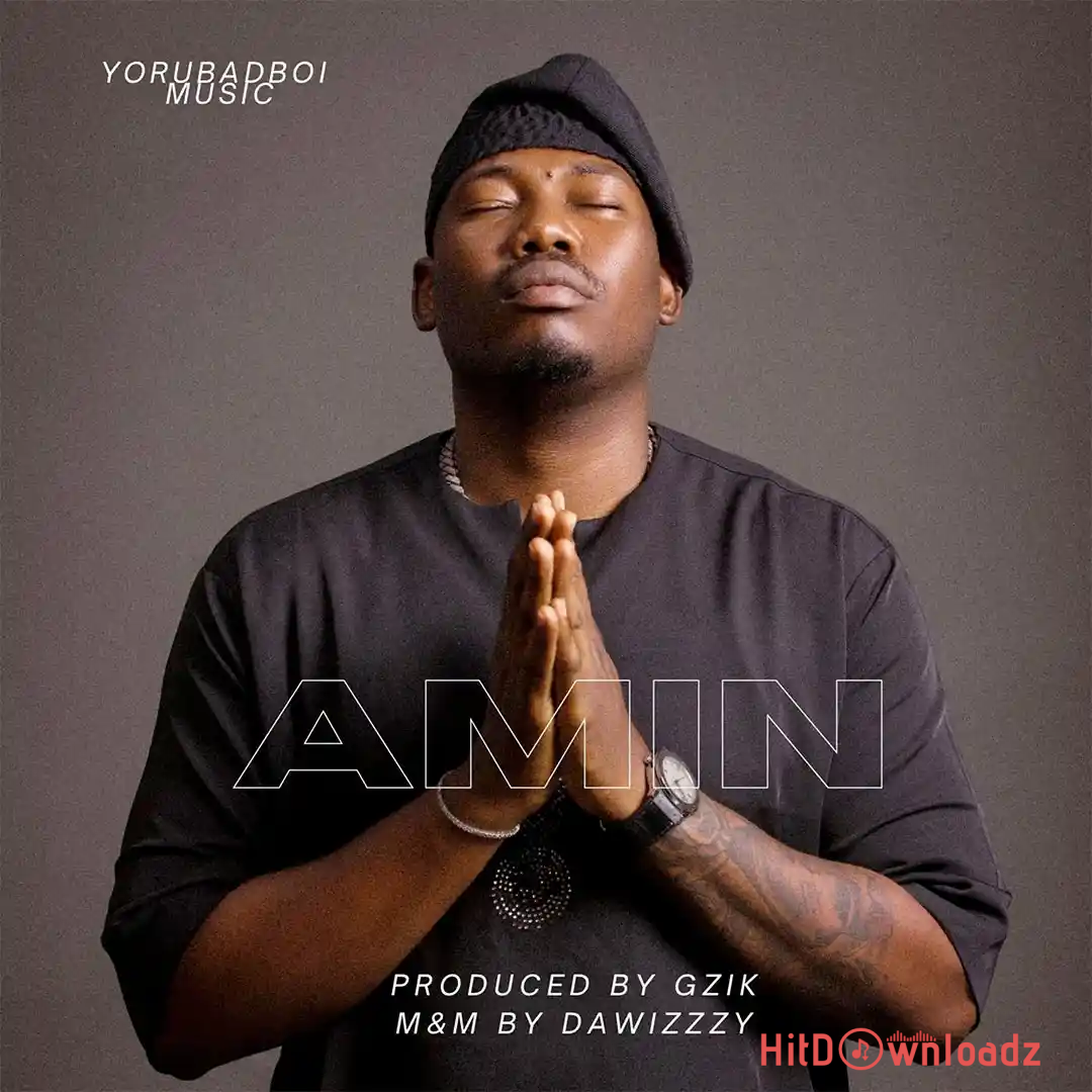 Qdot – Amin Cover Art