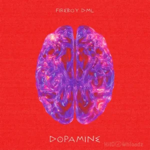 Fireboy DML