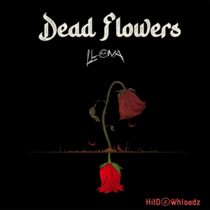 Dead Flowers MP3 Download