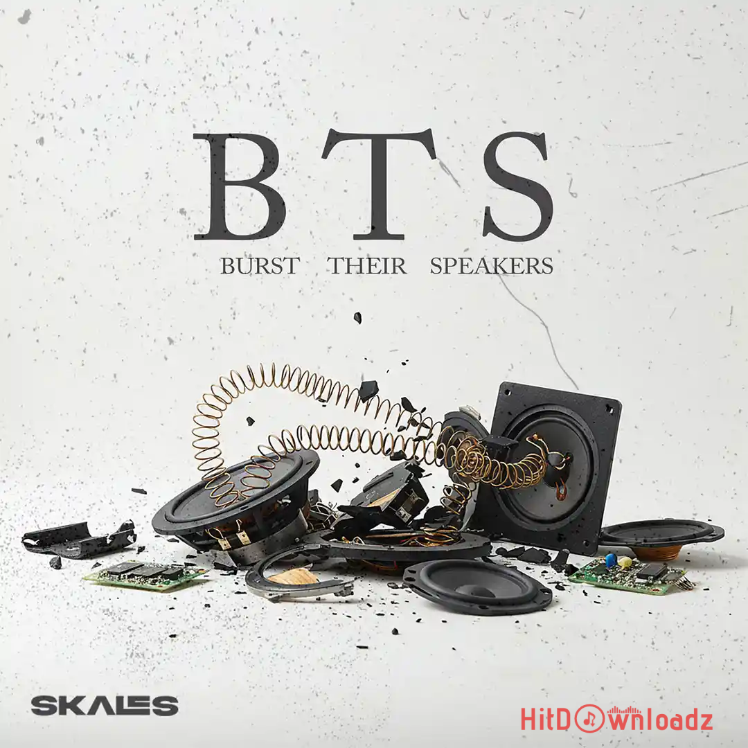 Skales – B.T.S {Burst Their Speakers} Cover Art