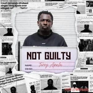 Terry Apala – ECHOES OF PAIN MP3 Download