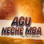 Agu Neche Mba
