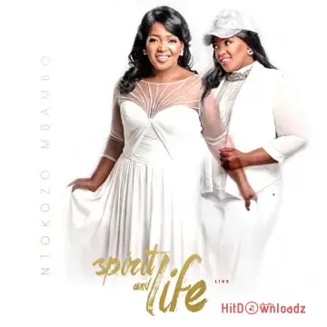 Ntokozo Mbambo – No Other Name Cover Art