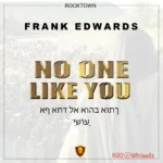 No One Like You