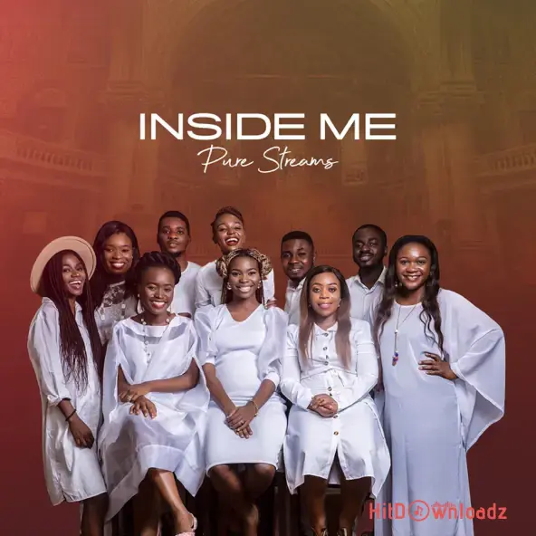 Pure Streams – Inside Me Cover Art