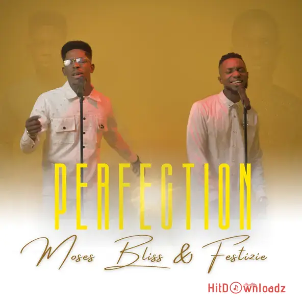 Moses Bliss & Festizie – Perfection Cover Art