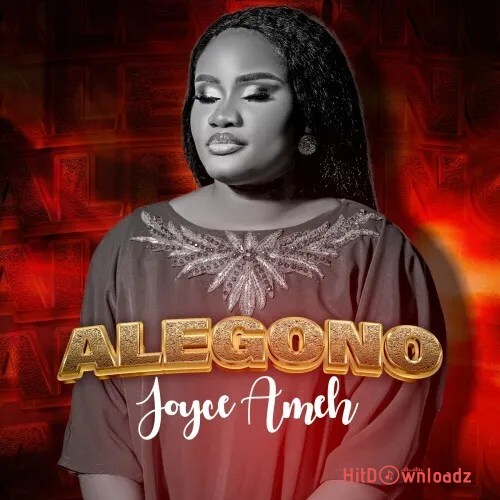 Joyce Ameh -Alegono Cover Art