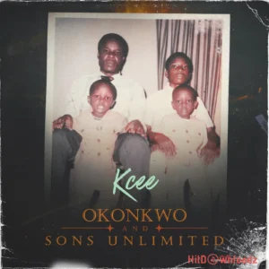 Okonkwo and Sons Unlimited